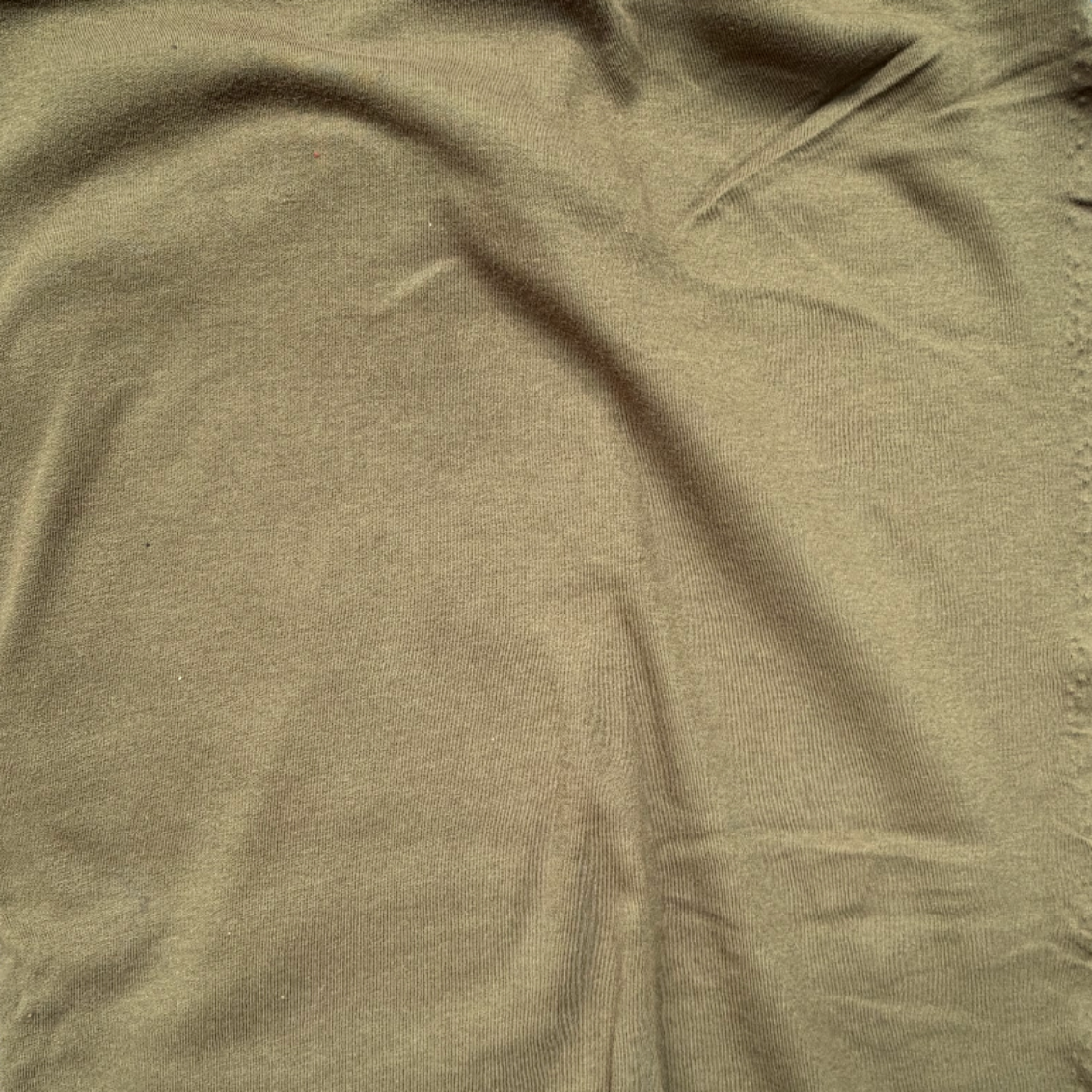 10050 | Medium Weight Interlock | Spirulina